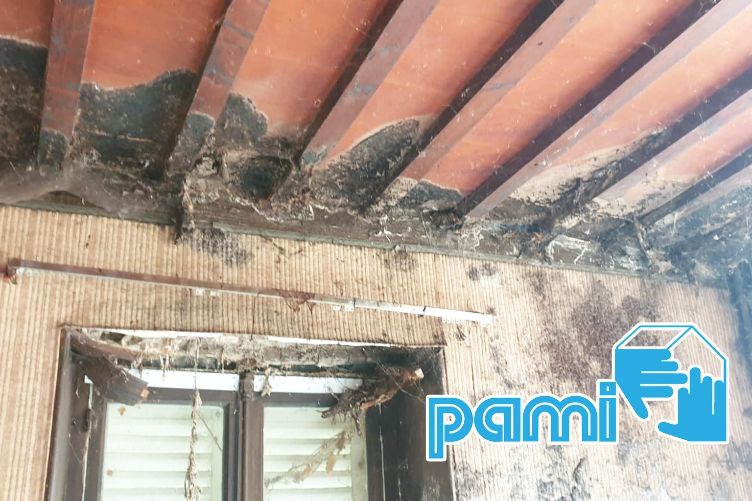 Éléments en bois présentant des dégradations dans un bâtiment ancien