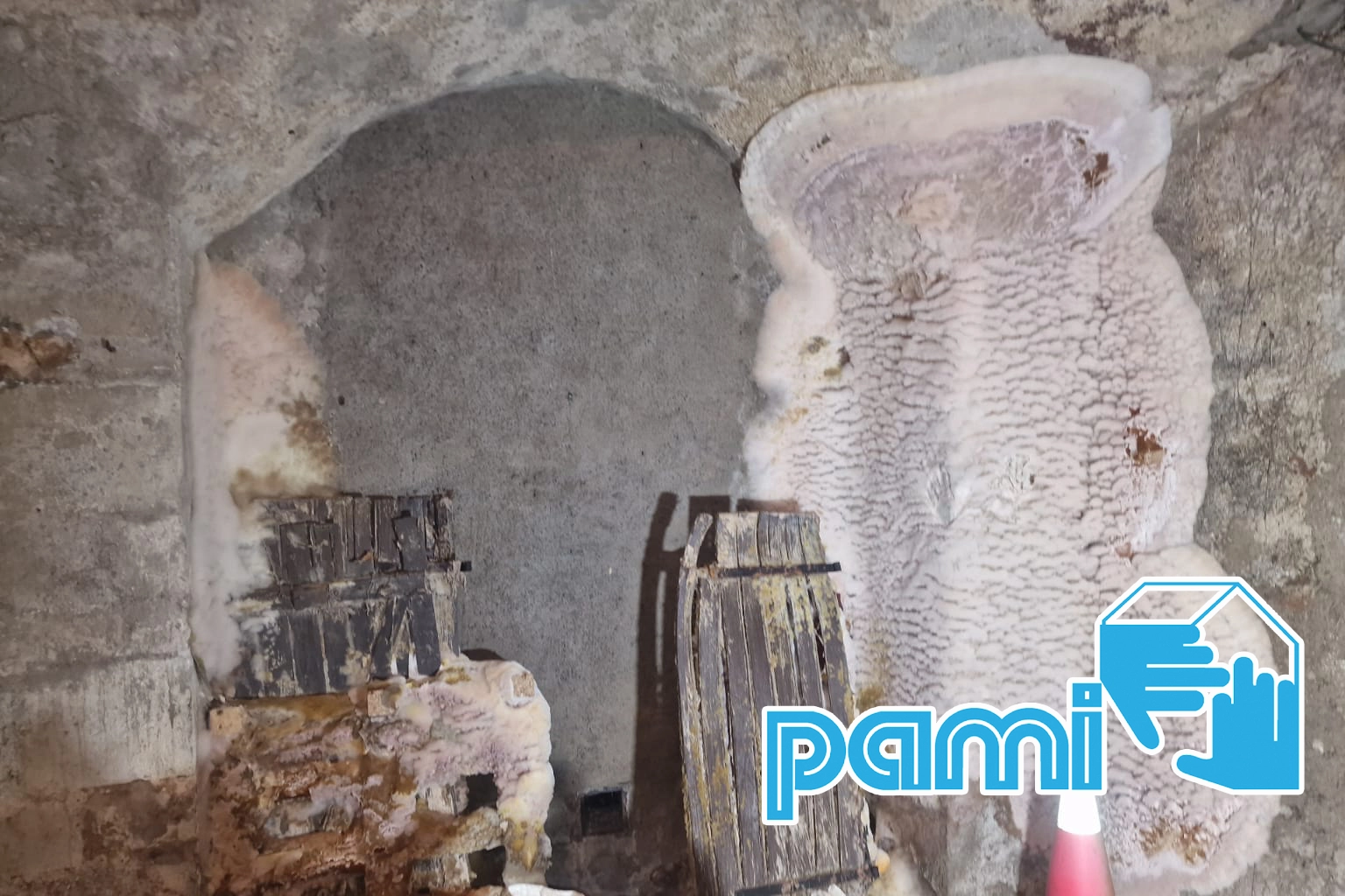 Cave voûtée en pierre examinée lors d'un chantier dans le Puy-de-Dôme