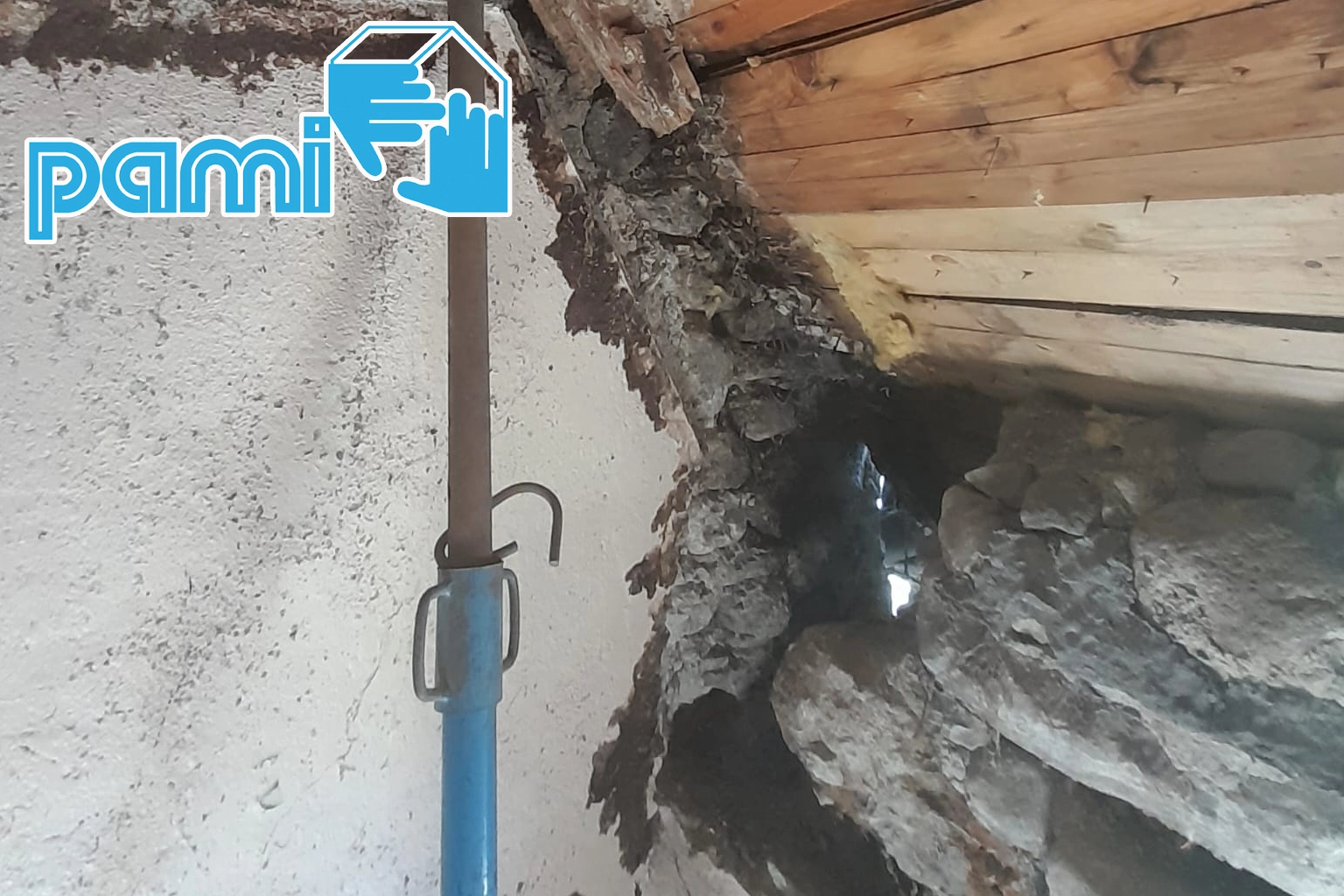 Champignon desséché observé après une fuite en toiture à Saint-Julien-de-Jordanne dans le Cantal
