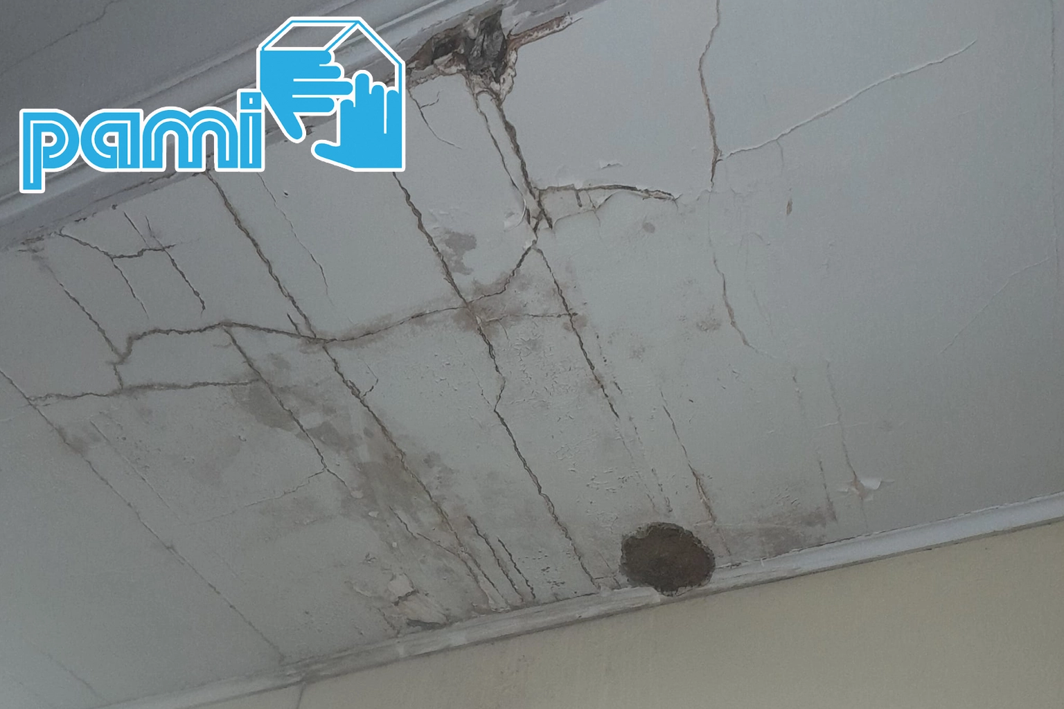 Zone du plafond présentant des traces fongiques dans un bâtiment à Saint-Flour dans le Cantal