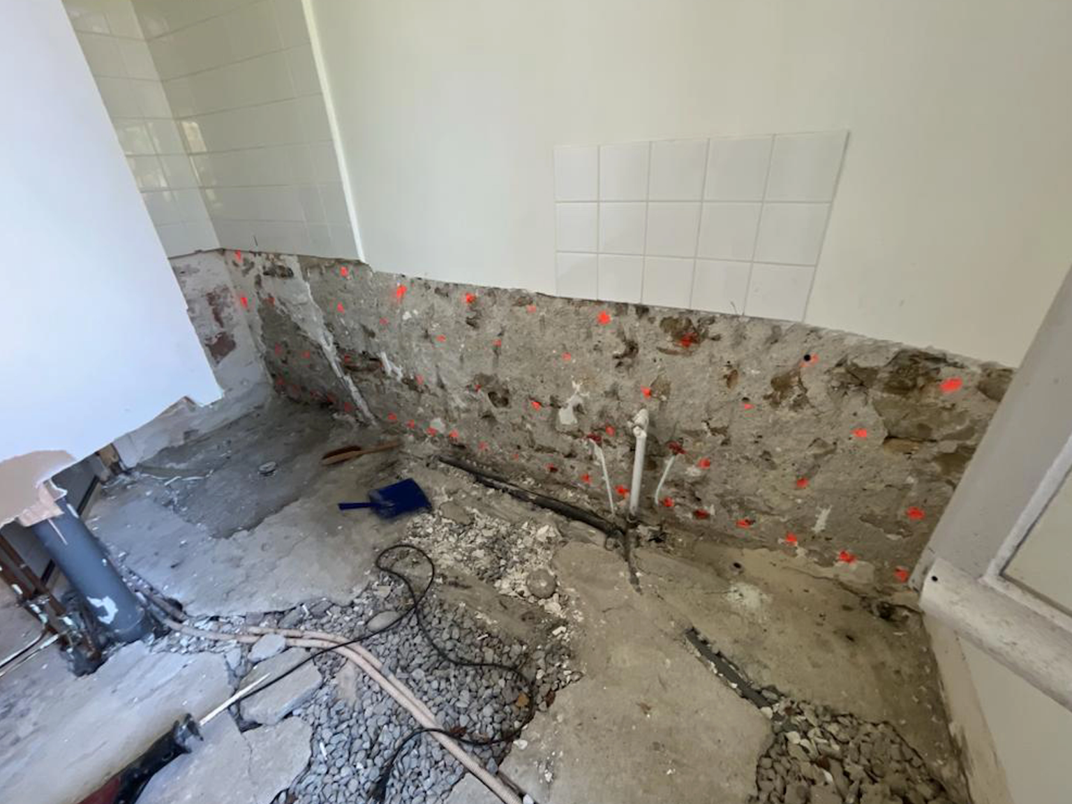 chantier merule apres traitement bois sain