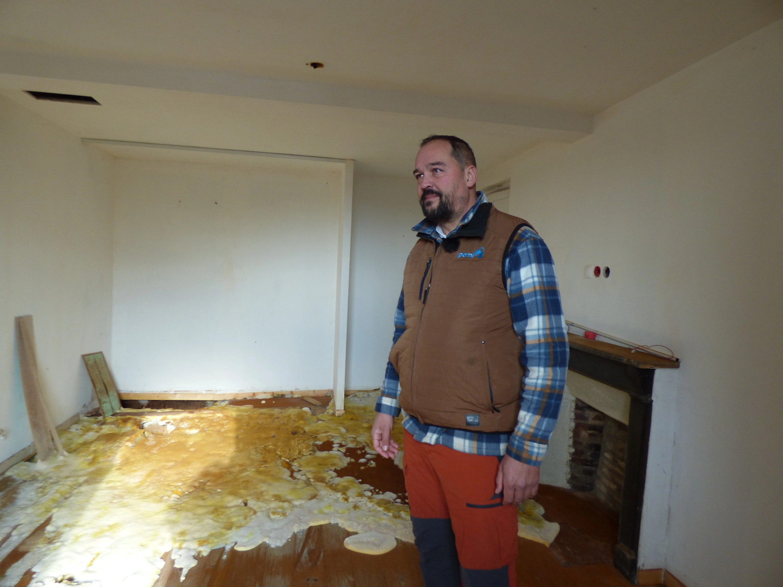 diagnostic merule mesure humidite bois technicien