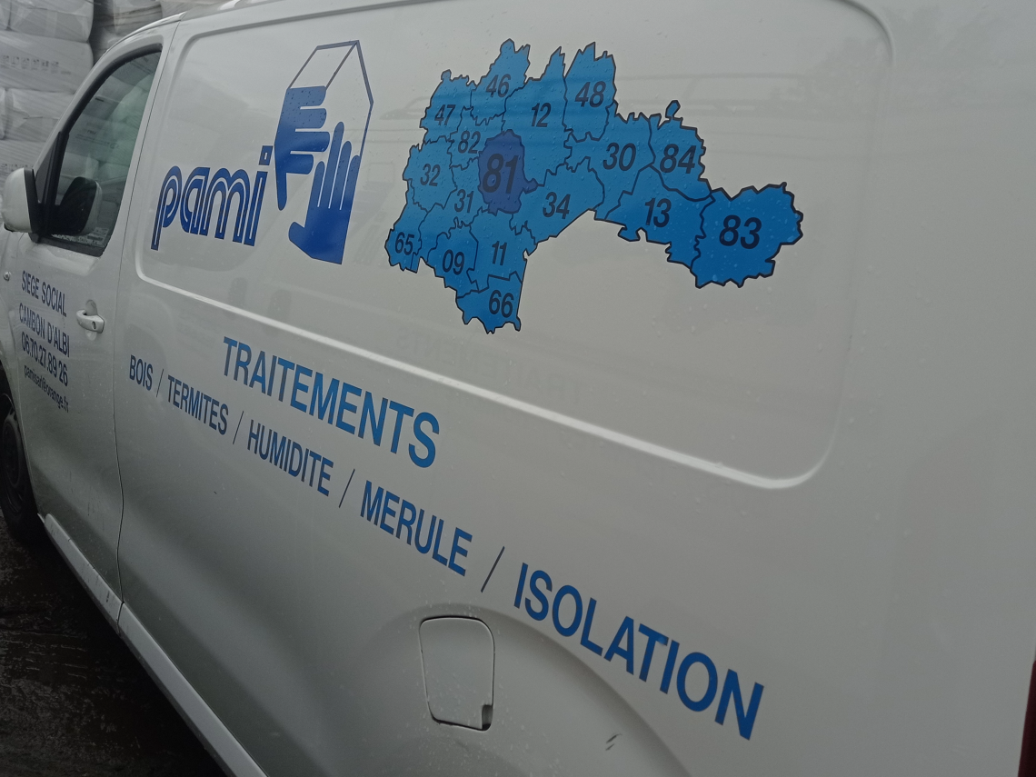 Entreprise spécialisée traitement mérule intervention habitation