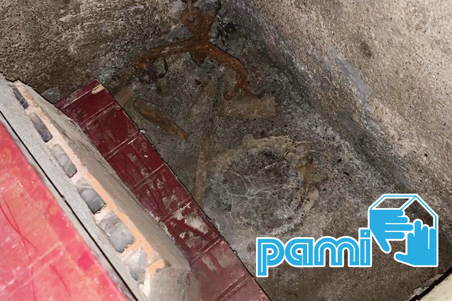 Développement blanchâtre sur un sol en béton dans un sous-sol à Brassac, près d'une étagère en bois et en parpaings.