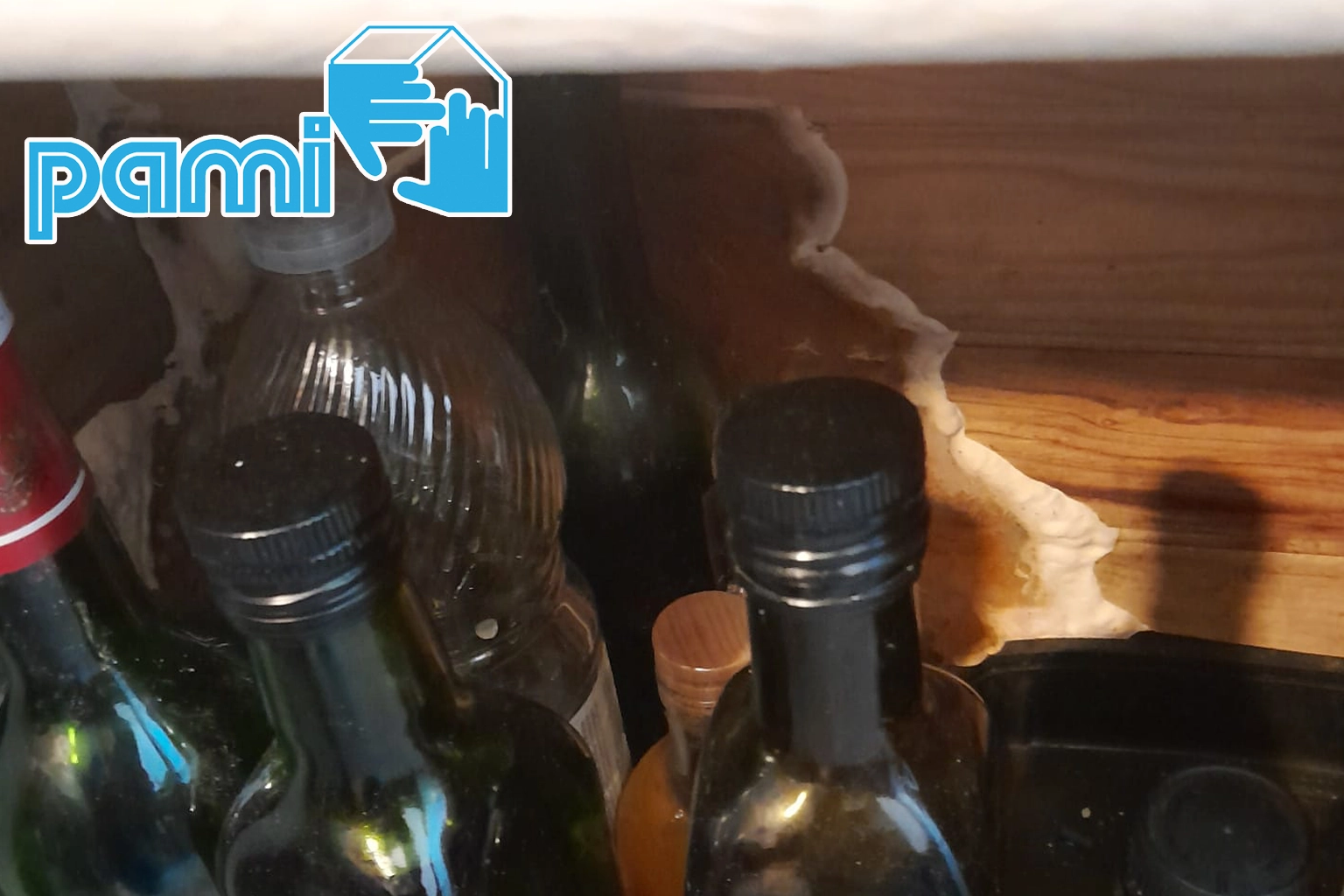 Fructification orangée à bords rosés sur une poutre en bois, avec un mur en pierre en arrière-plan à Belcaire