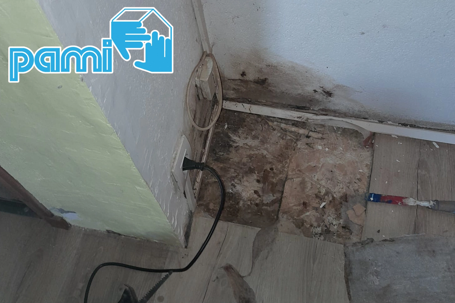 Mur en pierre avec du mycélium blanc et brun dans les joints, au-dessus d’un tuyau bleu à Belcaire