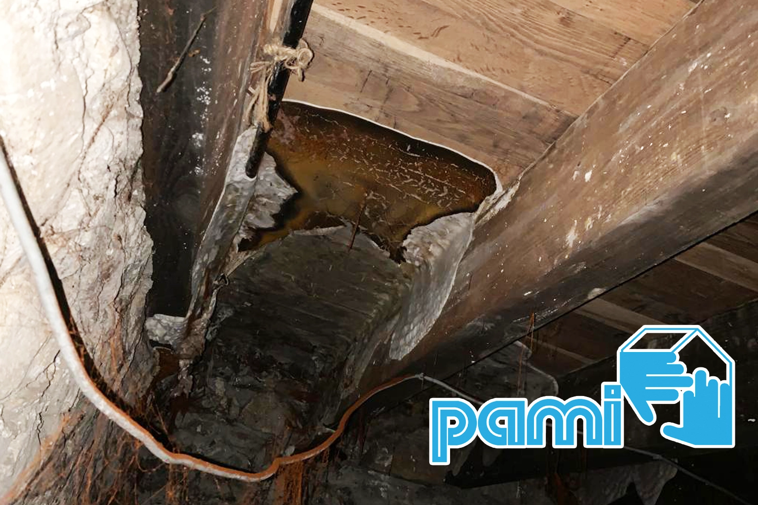 Plancher en bois présentant des dégradations dans une maison ancienne du Tarn.