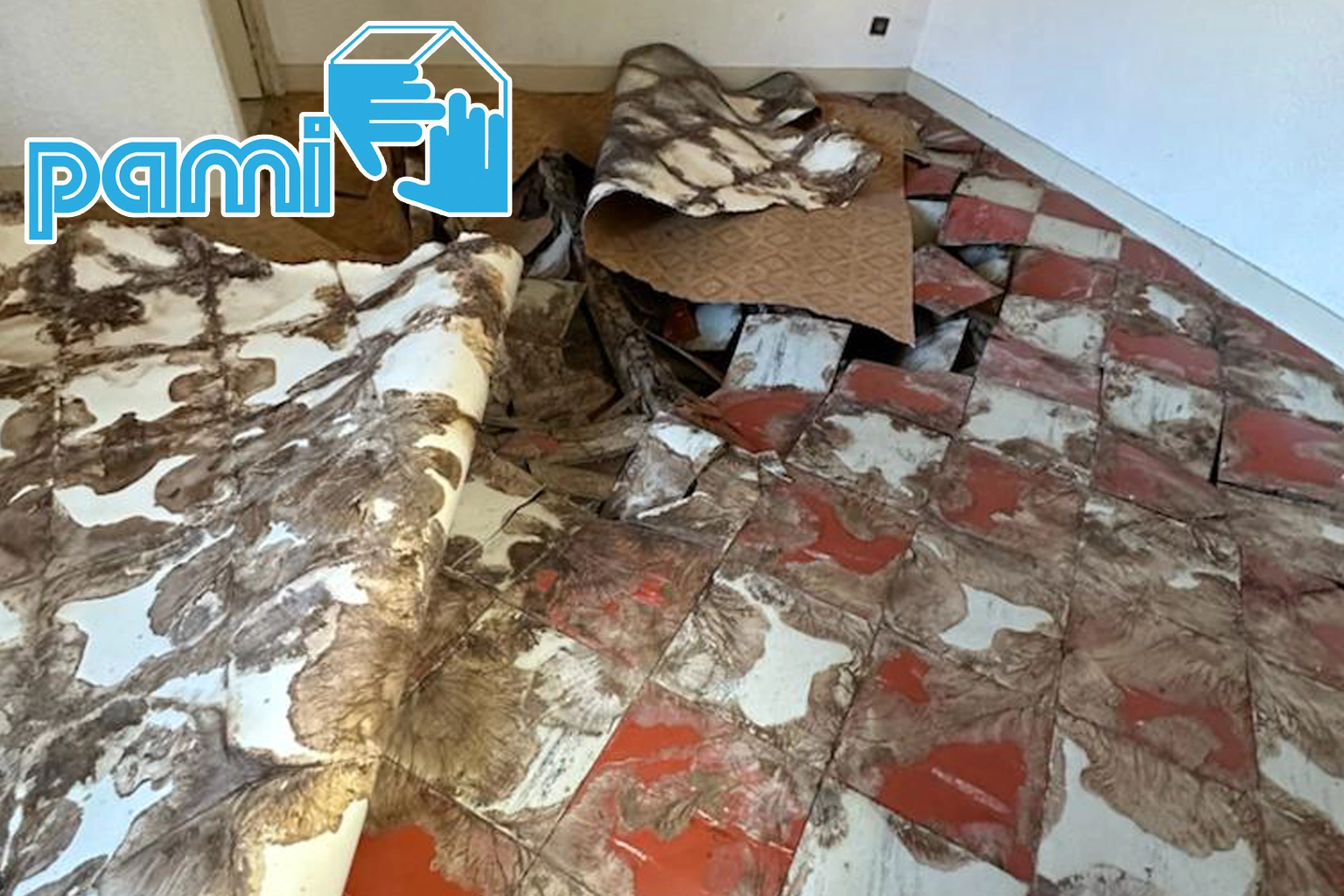 Plancher attaqué par un champignon lignivore sous un revêtement de linoléum à Ax-les-Thermes