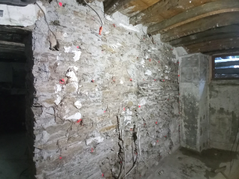 traitement mérule injection fongicide professionnel