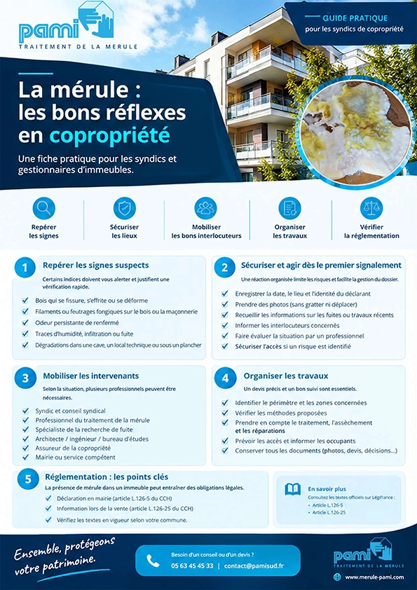 Guide pratique PAMI sur la mérule en copropriété destiné aux syndics et gestionnaires d'immeubles